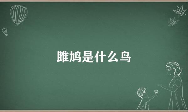 雎鸠是什么鸟