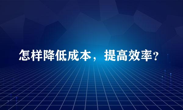 怎样降低成本，提高效率？