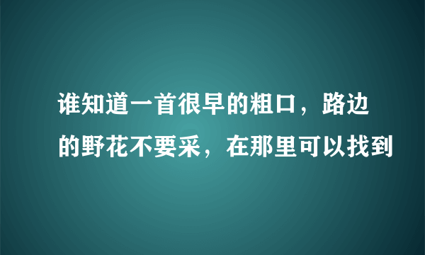 谁知道一首很早的粗口，路边的野花不要采，在那里可以找到