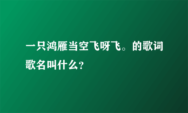 一只鸿雁当空飞呀飞。的歌词歌名叫什么？