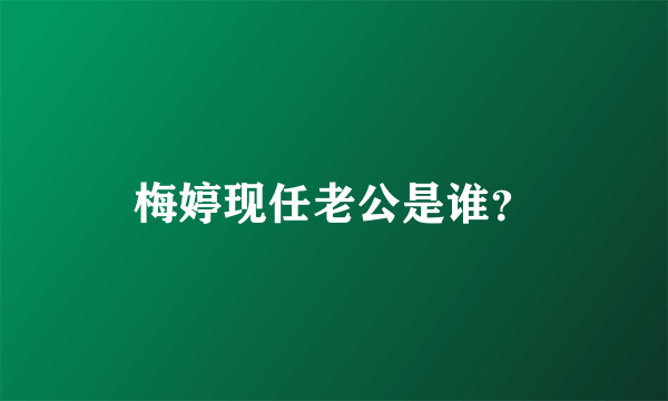 梅婷现任老公是谁？