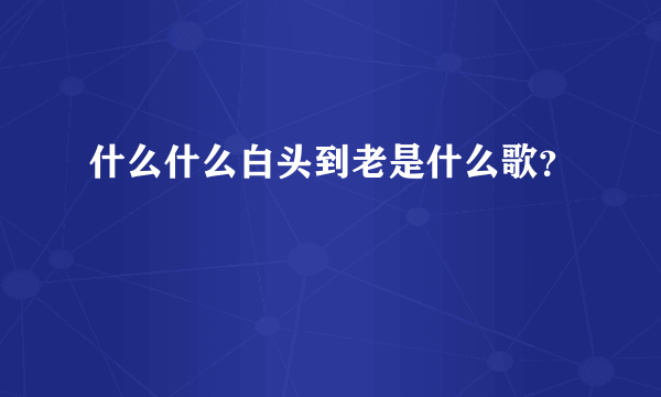 什么什么白头到老是什么歌？