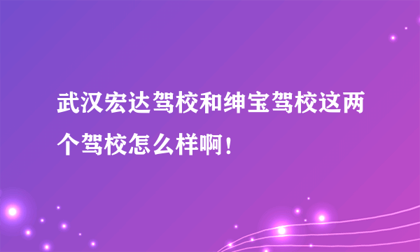 武汉宏达驾校和绅宝驾校这两个驾校怎么样啊！