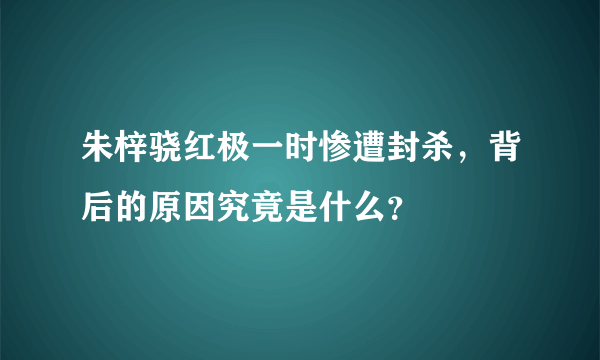 朱梓骁红极一时惨遭封杀，背后的原因究竟是什么？