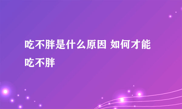 吃不胖是什么原因 如何才能吃不胖