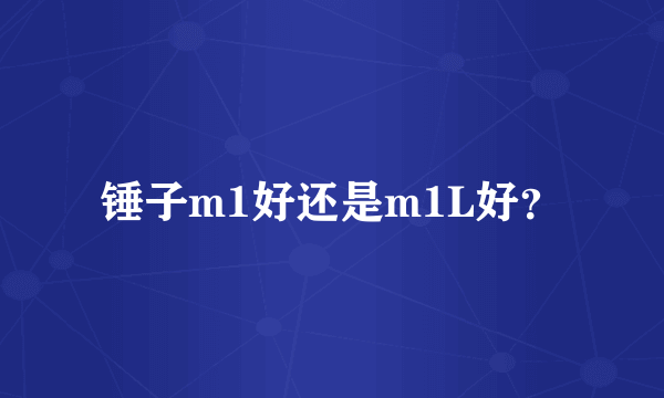 锤子m1好还是m1L好？