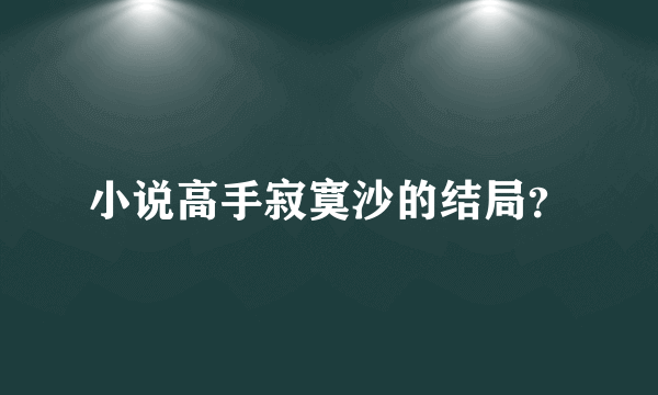 小说高手寂寞沙的结局？