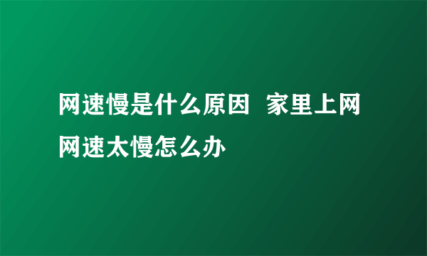 网速慢是什么原因  家里上网网速太慢怎么办