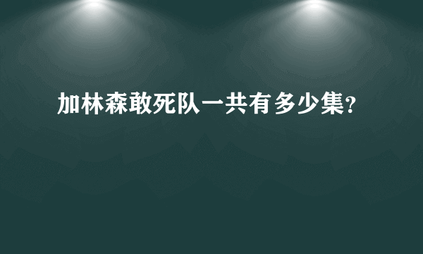 加林森敢死队一共有多少集？