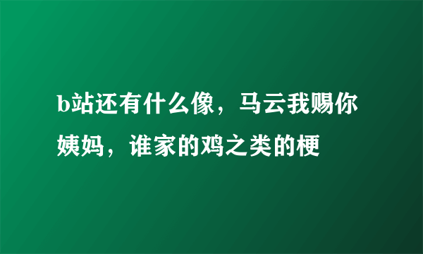 b站还有什么像，马云我赐你姨妈，谁家的鸡之类的梗