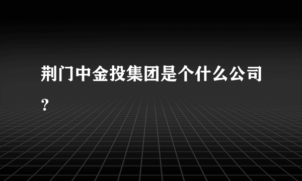 荆门中金投集团是个什么公司？