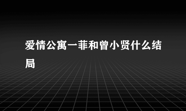 爱情公寓一菲和曾小贤什么结局