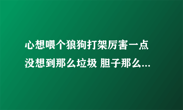 心想喂个狼狗打架厉害一点 没想到那么垃圾 胆子那么小 烦 连土狗都怕 有什么用