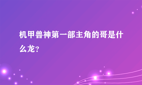 机甲兽神第一部主角的哥是什么龙？