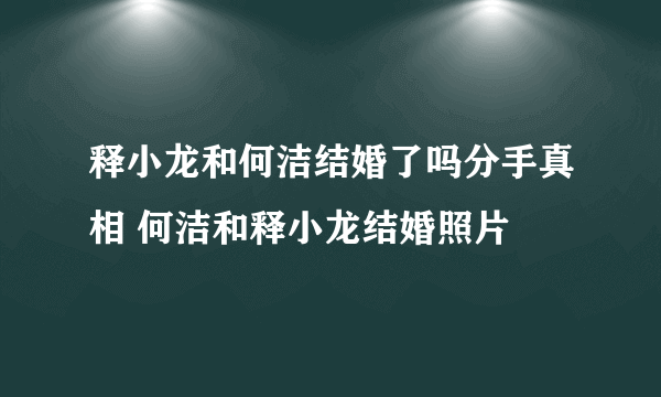 释小龙和何洁结婚了吗分手真相 何洁和释小龙结婚照片