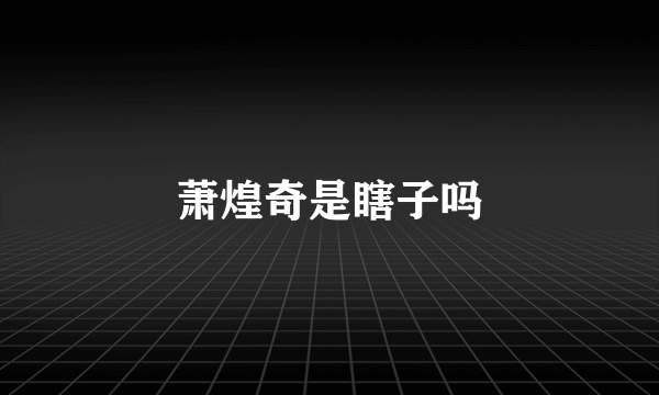 萧煌奇是瞎子吗