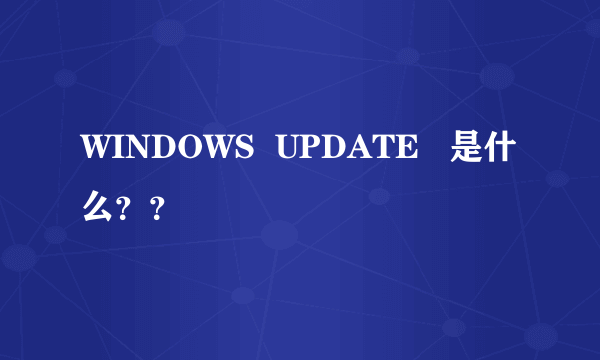 WINDOWS  UPDATE   是什么？？