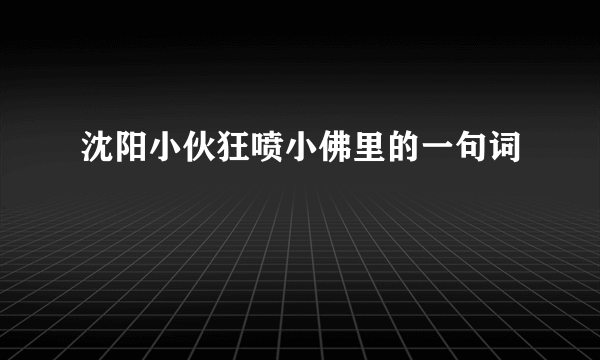 沈阳小伙狂喷小佛里的一句词