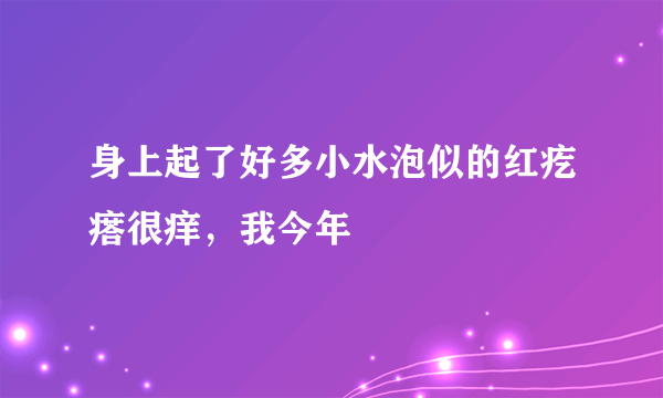 身上起了好多小水泡似的红疙瘩很痒，我今年