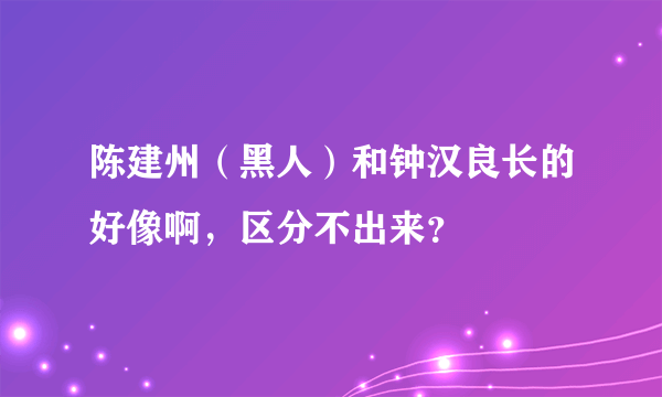 陈建州（黑人）和钟汉良长的好像啊，区分不出来？