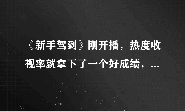 《新手驾到》刚开播，热度收视率就拿下了一个好成绩，这档综艺怎么样？