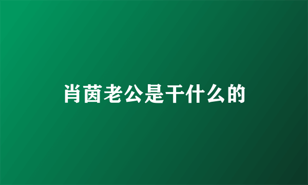 肖茵老公是干什么的