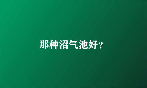 那种沼气池好？