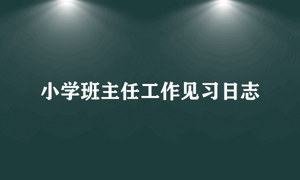 小学班主任工作见习日志