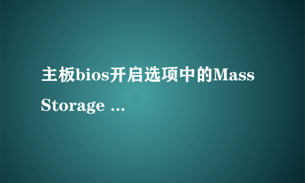 主板bios开启选项中的Mass Storage Device 1.00是什么意思?