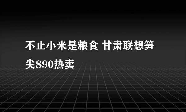 不止小米是粮食 甘肃联想笋尖S90热卖