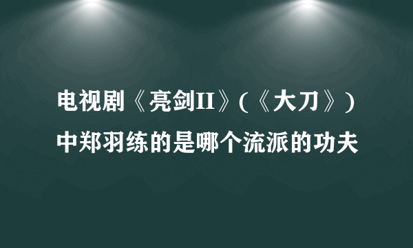 电视剧《亮剑II》(《大刀》)中郑羽练的是哪个流派的功夫