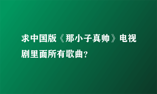 求中国版《那小子真帅》电视剧里面所有歌曲？