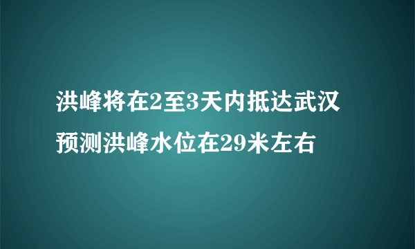 洪峰将在2至3天内抵达武汉 预测洪峰水位在29米左右