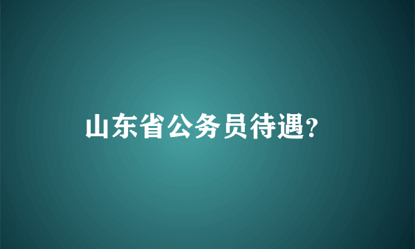 山东省公务员待遇？