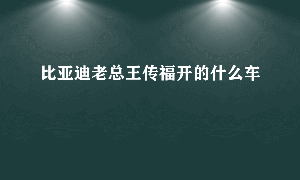 比亚迪老总王传福开的什么车