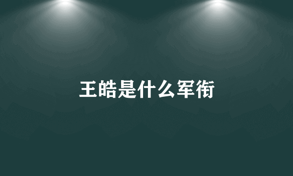 王皓是什么军衔