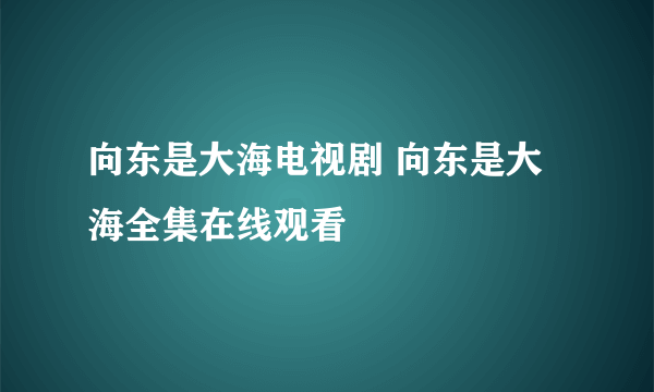 向东是大海电视剧 向东是大海全集在线观看