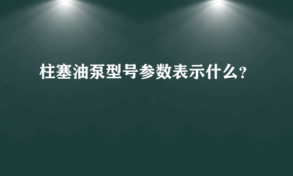 柱塞油泵型号参数表示什么？