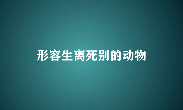 形容生离死别的动物