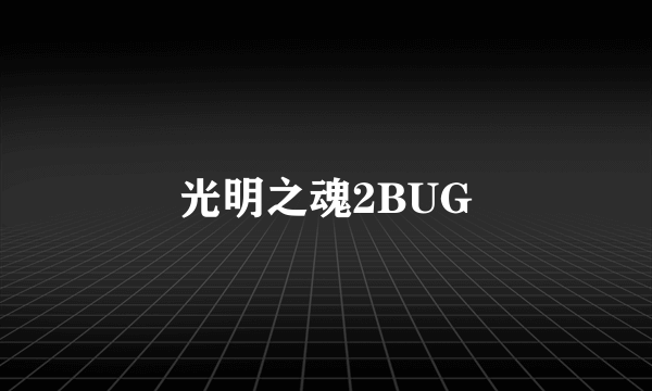 光明之魂2BUG