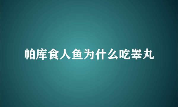 帕库食人鱼为什么吃睾丸