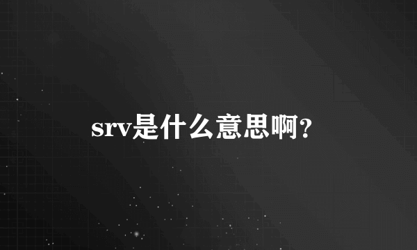 srv是什么意思啊？