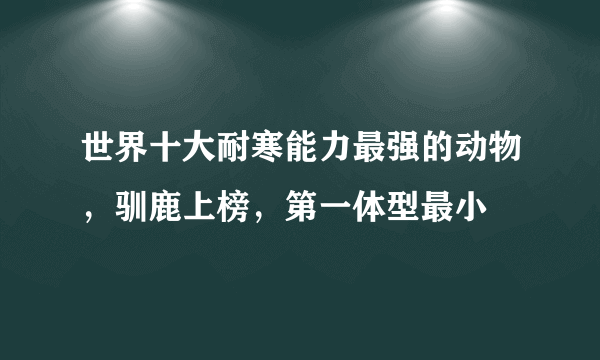 世界十大耐寒能力最强的动物，驯鹿上榜，第一体型最小