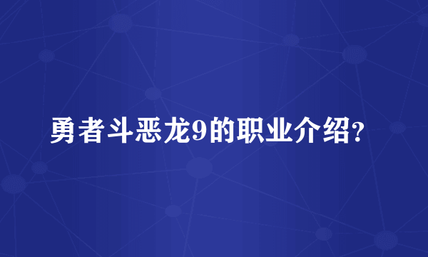 勇者斗恶龙9的职业介绍？