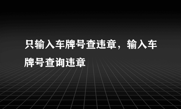 只输入车牌号查违章，输入车牌号查询违章