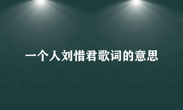 一个人刘惜君歌词的意思