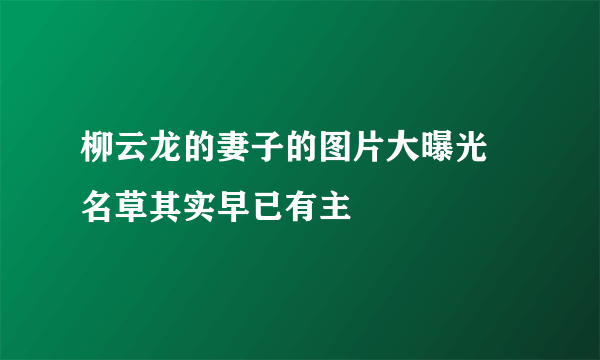 柳云龙的妻子的图片大曝光  名草其实早已有主