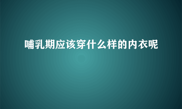 哺乳期应该穿什么样的内衣呢