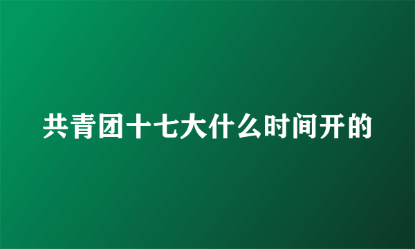 共青团十七大什么时间开的