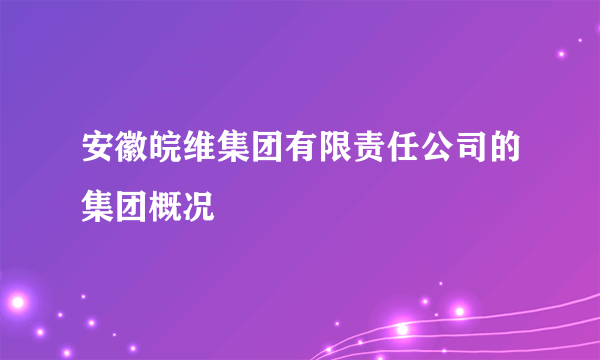 安徽皖维集团有限责任公司的集团概况